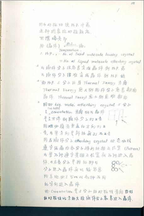 糖心视频