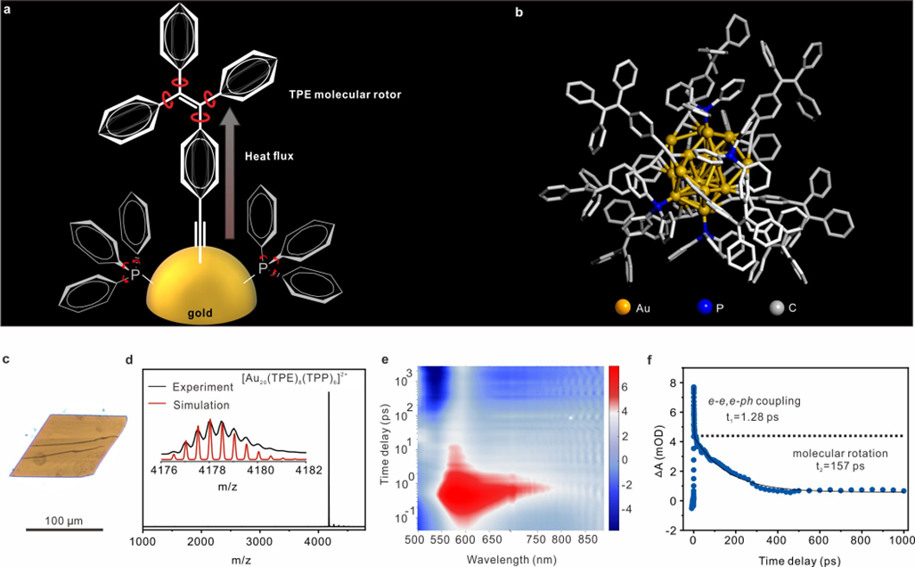 1699925704401572.png 图片1.png