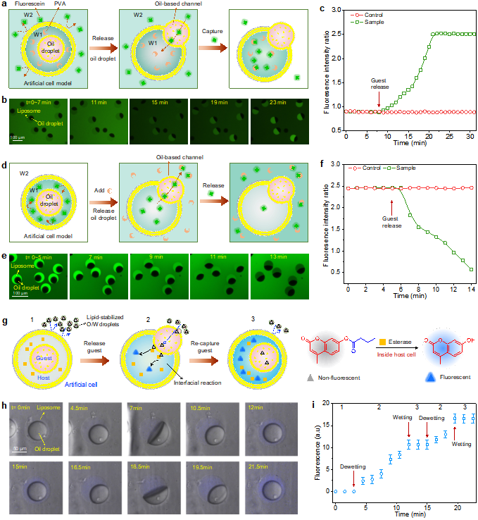 1720170518578010.png 图片 3.png