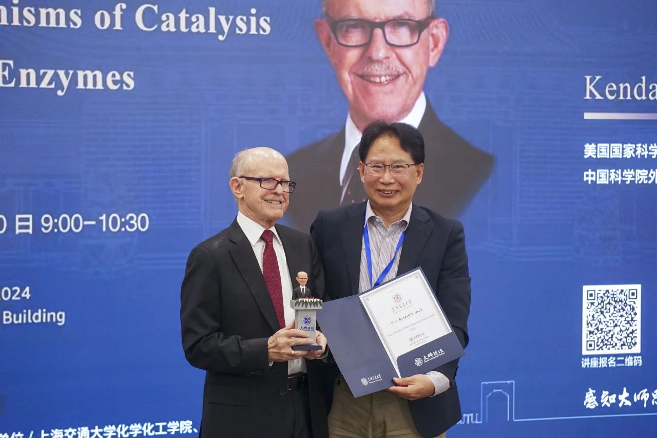 1732603668938615.jpg 9.jpg